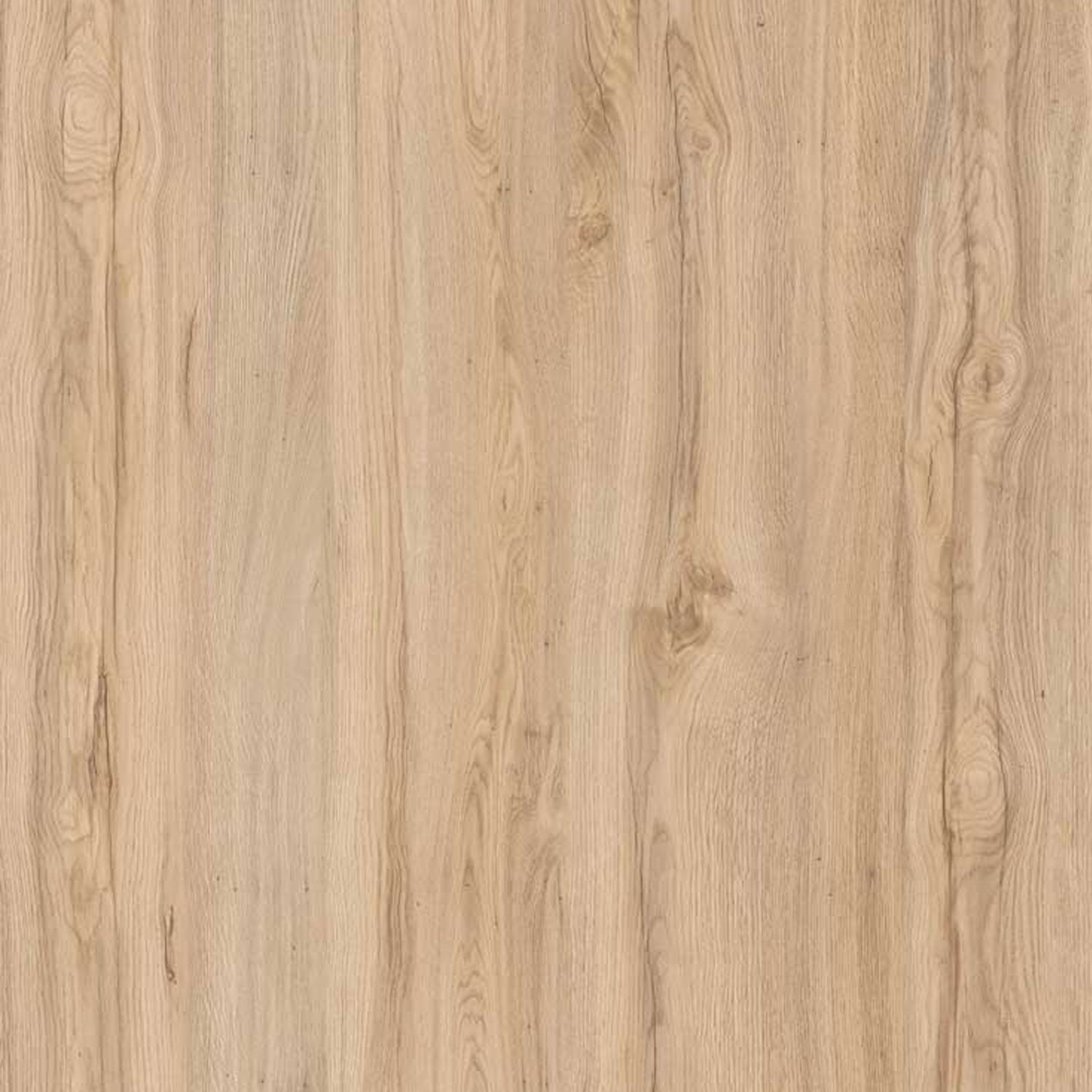 Amenajari Interioare - Parchet laminat NL GALA OAK 8MM AC4 CL32, 1.8340 mp / cutie, beige - ExpoMob