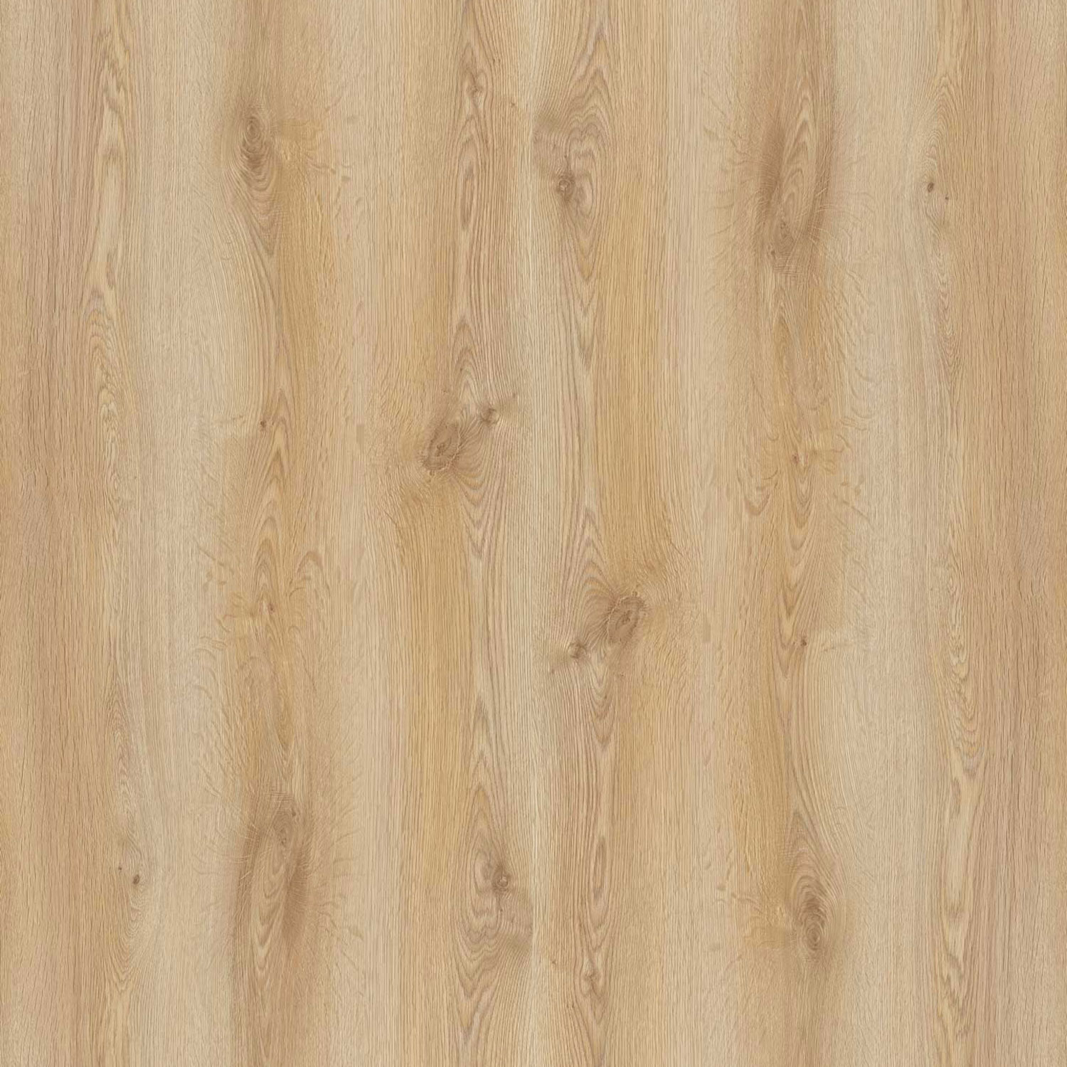 Amenajari Interioare - Parchet laminat NL TREND OAK 8MM AC4 CL32, 1.8340 mp / cutie, beige - ExpoMob