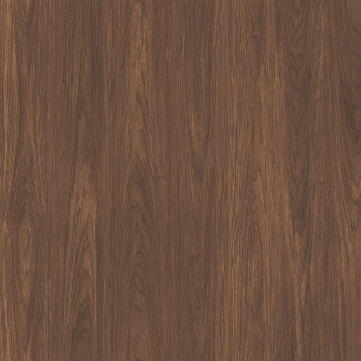 Parchet - Parchet laminat NC LORETO 10 MM, 1.4770 mp / cutie, maro - ExpoMob