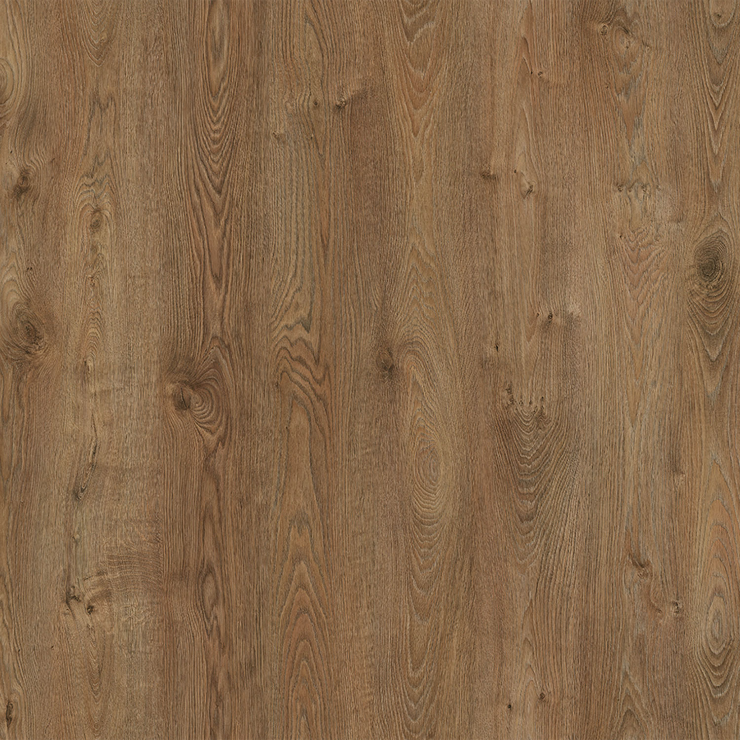 Parchet - Parchet laminat EF ATLAS 12MM CL33 AC5, 1.3550 mp / cutie, maro - ExpoMob