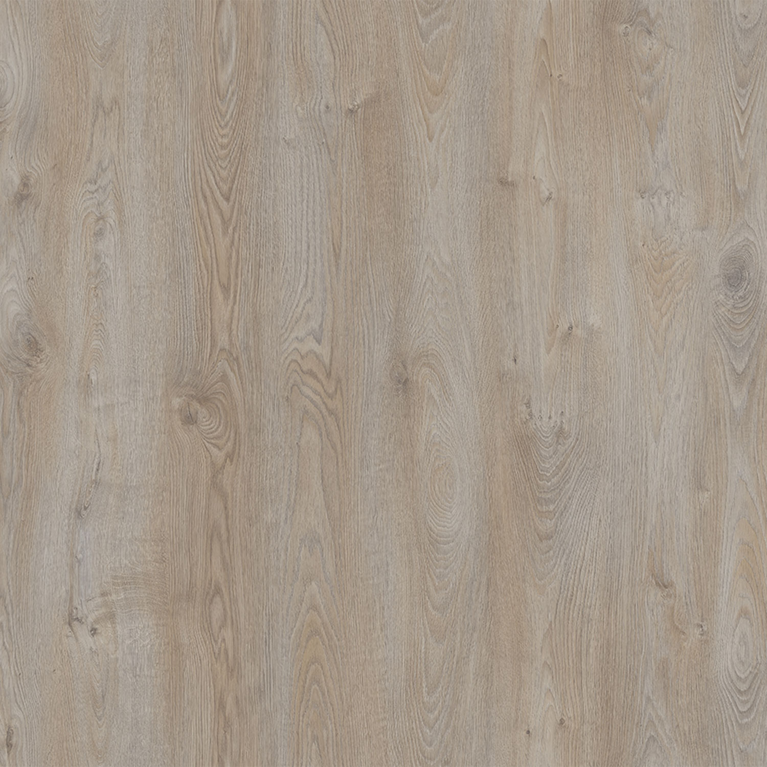 Parchet - Parchet laminat EF LOGAN 12MM CL33 AC5, 1.3550 mp / cutie, beige - ExpoMob