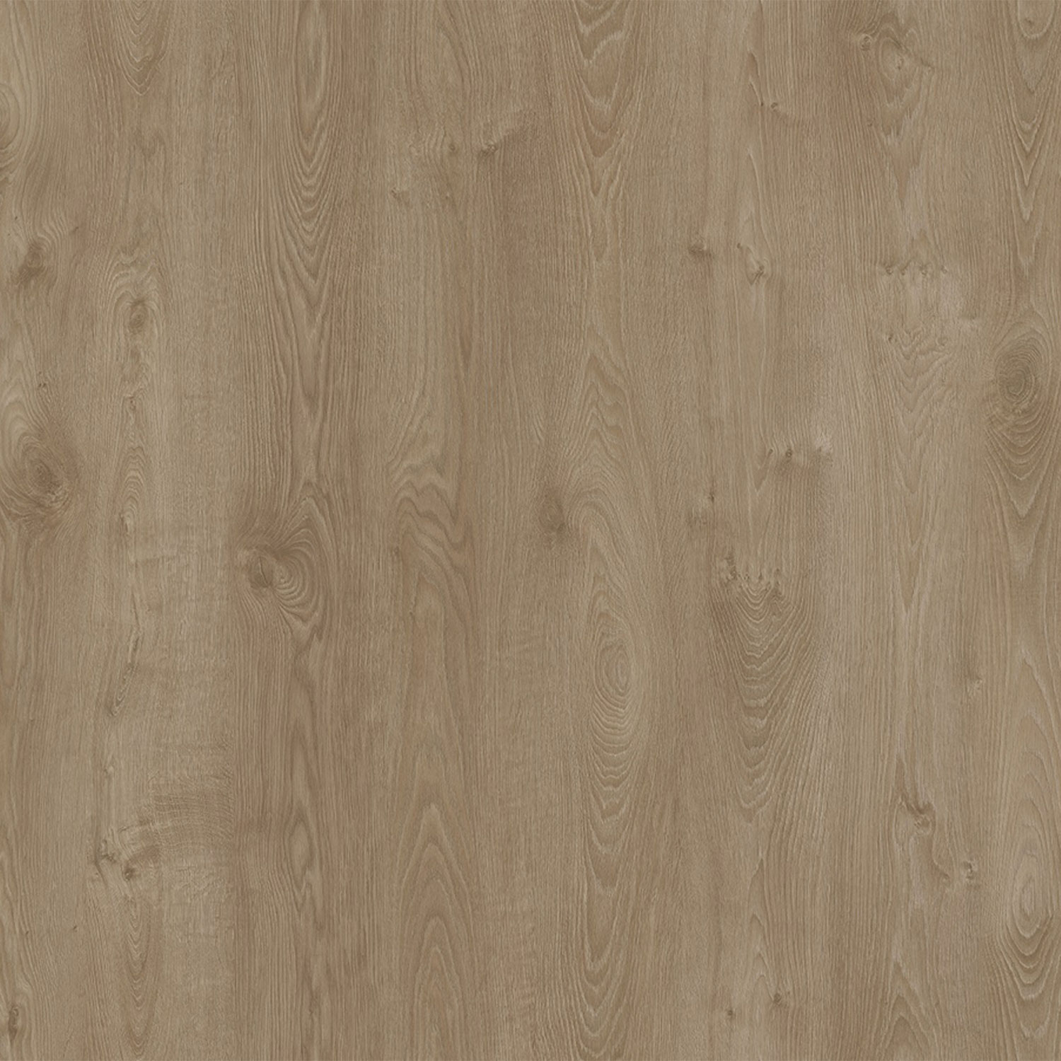 Parchet - Parchet laminat EF SOLARO 12MM CL33 AC5, 1.3551 mp / cutie, beige - ExpoMob