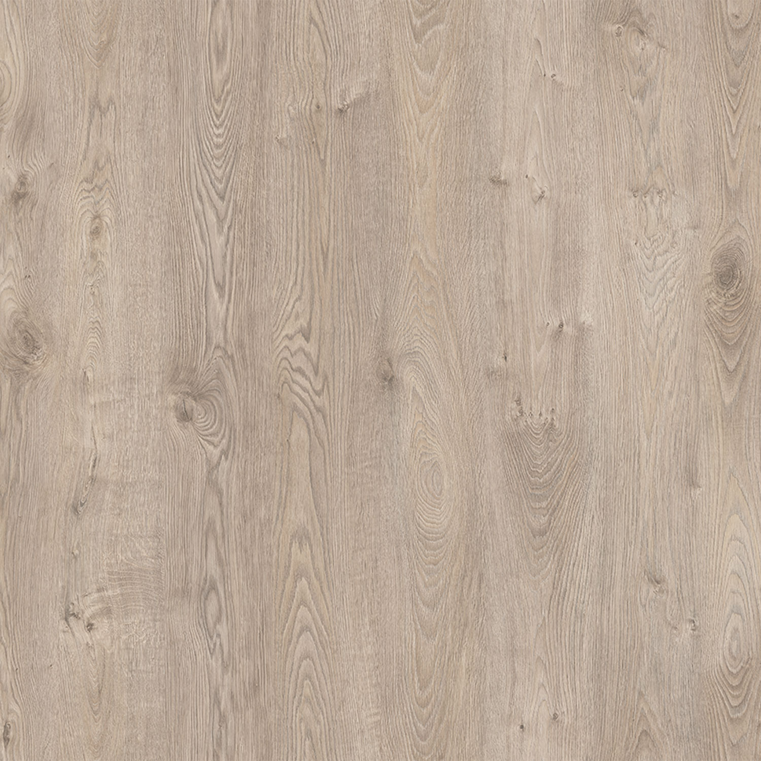 Parchet - Parchet laminat EF TIBET 12MM CL33 AC5, 1.3550 mp / cutie, beige - ExpoMob