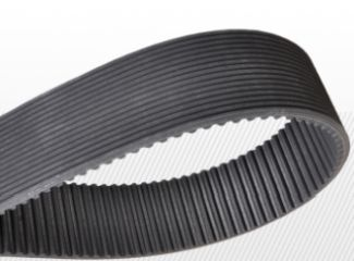 Curea STD 8M 1552 CXP Contitech, PVK 12 [1]