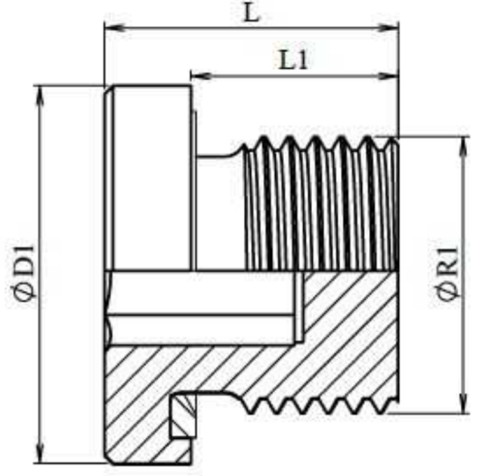 Dop cu locas hexagonal imbus cu etansare pe o ring (variante multiple) [2]