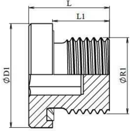 Dop cu locas hexagonal imbus cu etansare pe o ring (variante multiple) [1]