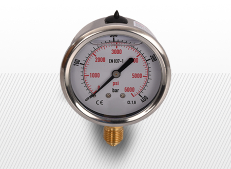 COMPONENTE INDUSTRIALE - Manometru radial 63mm (variante multiple)