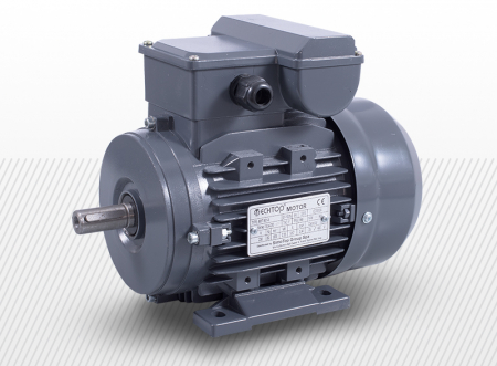 COMPONENTE INDUSTRIALE - Motor 1f 0,55kW 2800rpm | MYT 071B-2 B3 alu IE1