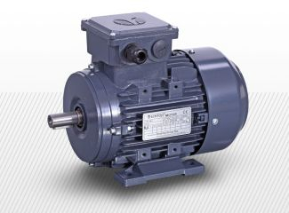 COMPONENTE INDUSTRIALE - Motoare electrice cu doua viteze (variante multiple)
