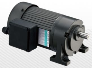 COMPONENTE INDUSTRIALE - Motoreductor de precizie cu talpa, G11H (variante multiple)