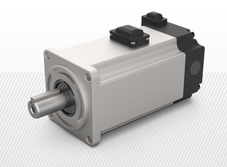 COMPONENTE INDUSTRIALE - Servomotor cu frana (variante multiple)