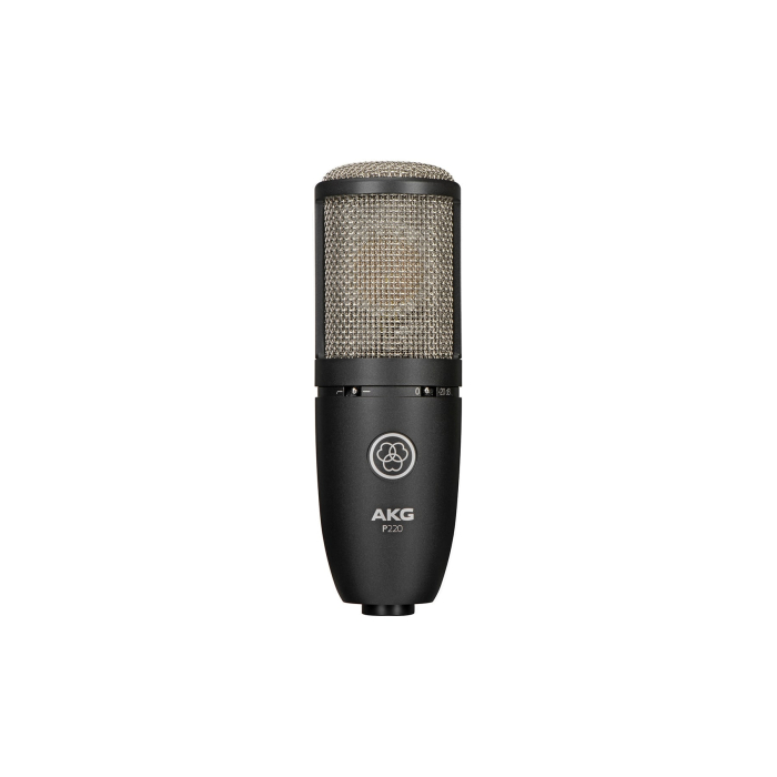 AKG P220 [2]