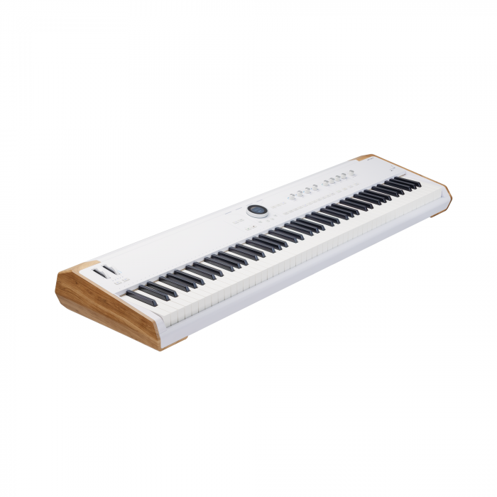 Arturia AstroLab 88 [4]