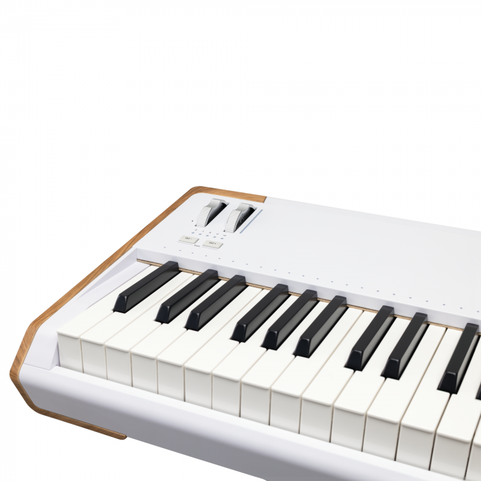 Arturia AstroLab 88 [6]