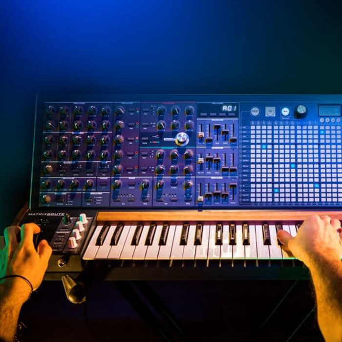 Arturia Matrix Brute [4]