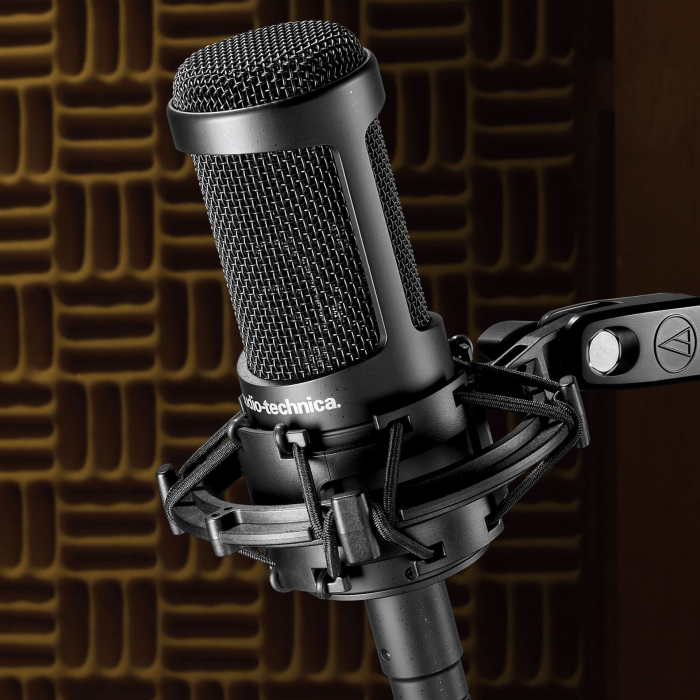 Audio Technica AT 2050 [5]