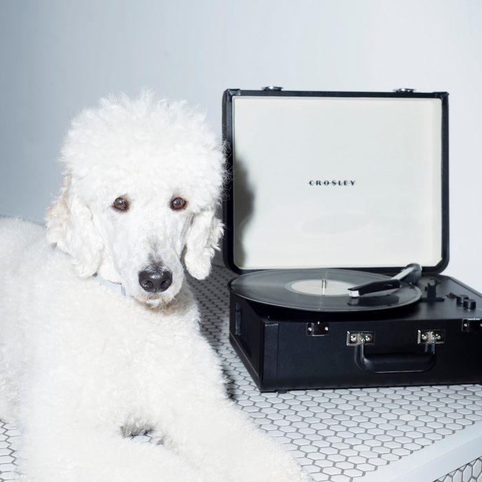 Crosley Portfolio - Black [5]