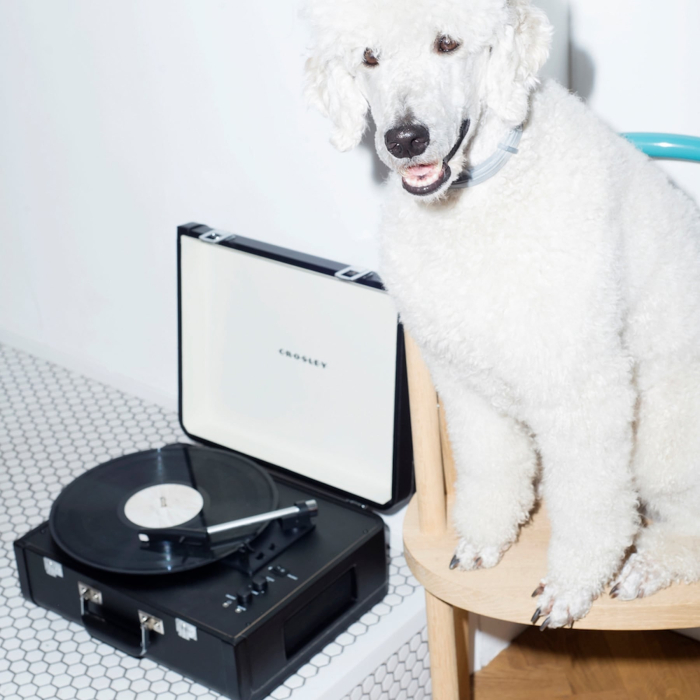 Crosley Portfolio - Black [6]