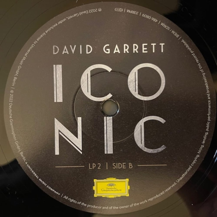 David Garrett - Iconic [6]
