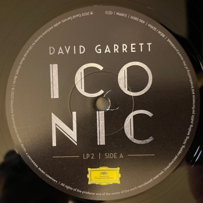 David Garrett - Iconic [8]