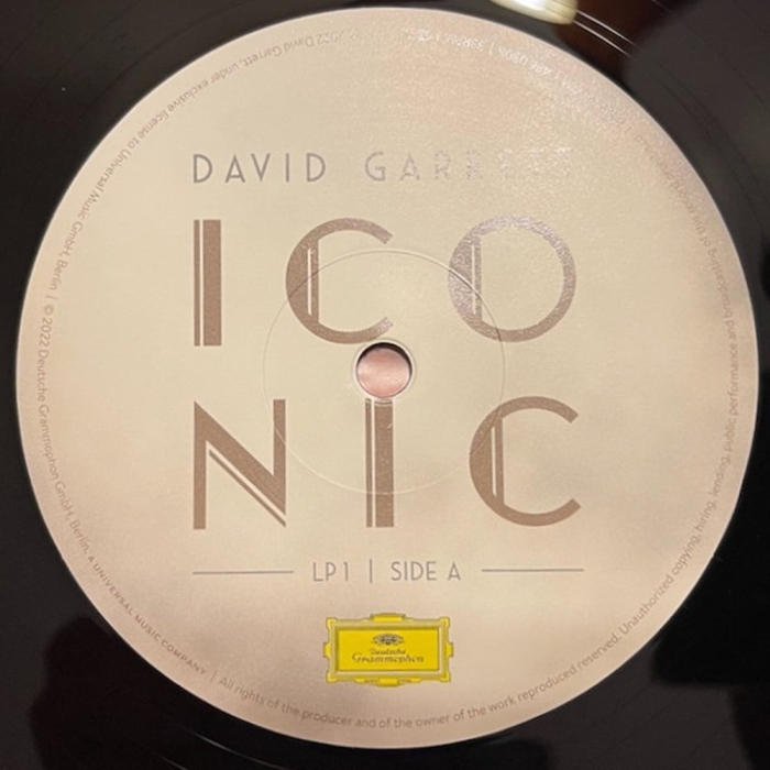 David Garrett - Iconic [5]