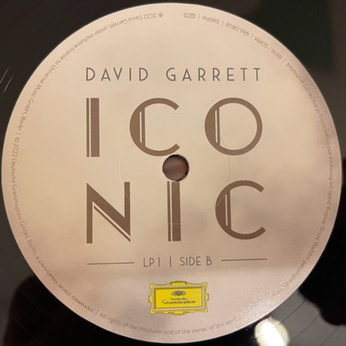 David Garrett - Iconic [7]