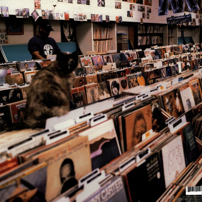 DJ Shadow - Endtroducing... [2]