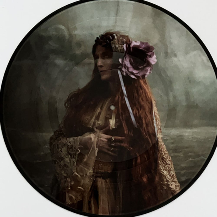 Florence + The Machine - Dance Fever (picture disc) [4]