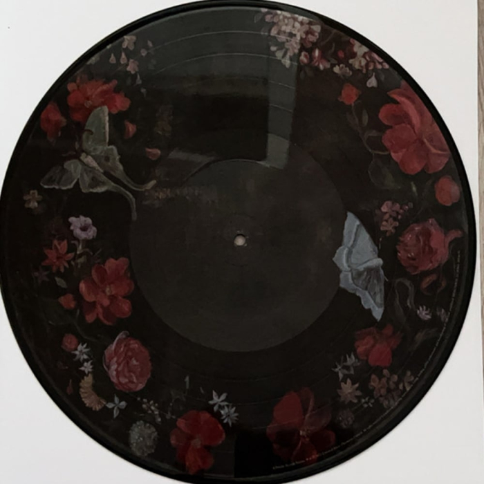 Florence + The Machine - Dance Fever (picture disc) [5]