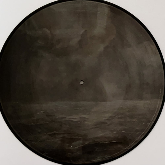 Florence + The Machine - Dance Fever (picture disc) [3]