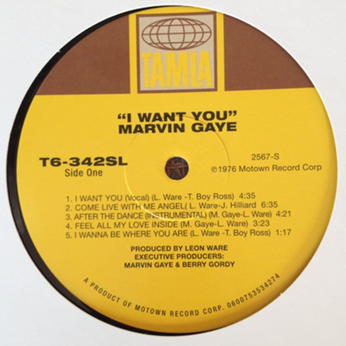 Marvin Gaye - I Want You [3]