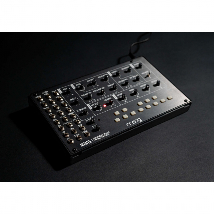 Moog Mavis [5]