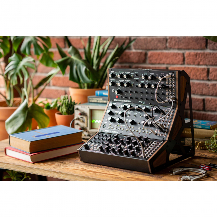Moog Subharmonicon [6]