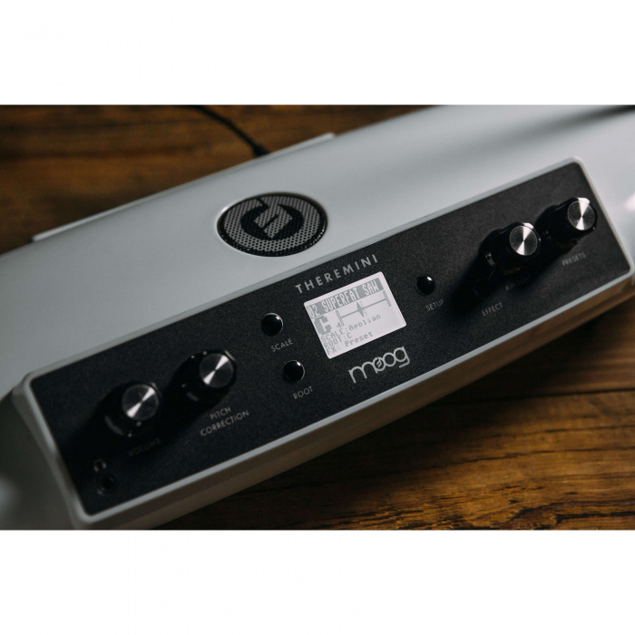 Moog Theremini [3]