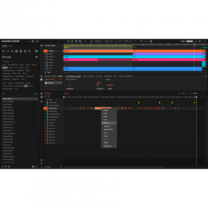 Native Instruments Maschine 3 - Licenta Electronica [10]