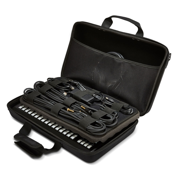 Pioneer DJ Bag for TSP-16 [3]