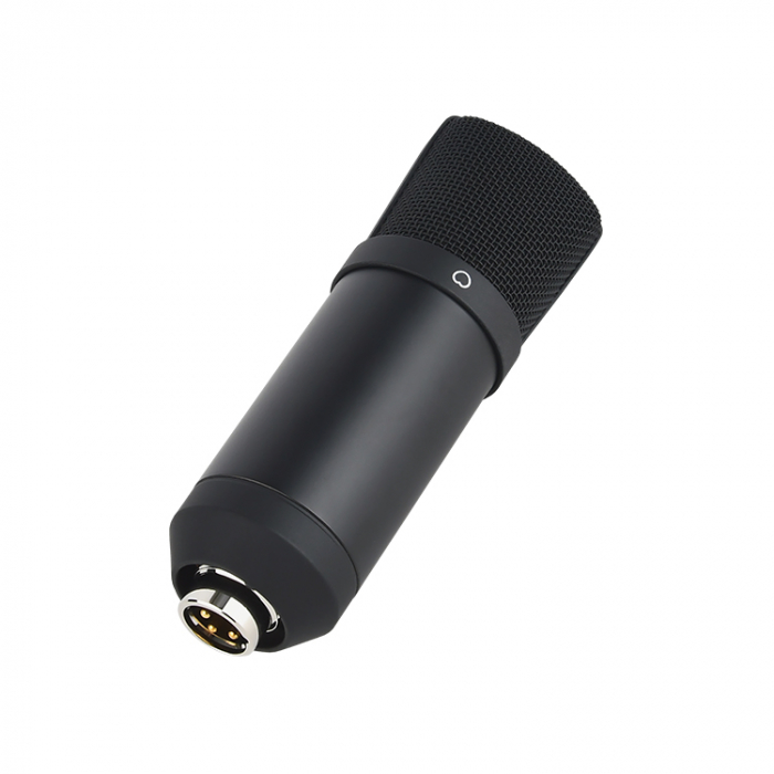 ROQ Audio M3C XLR [2]