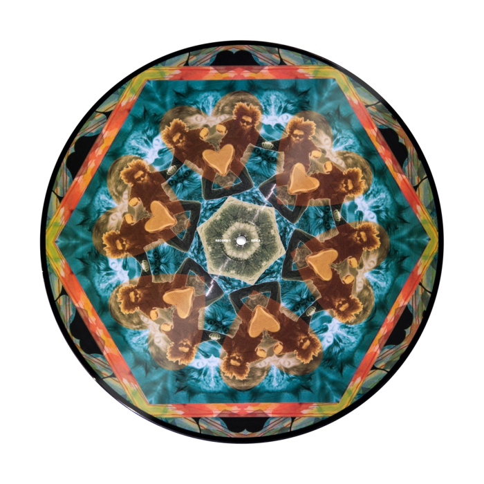 Serato Control Gaslamp Killer (Pair) [2]