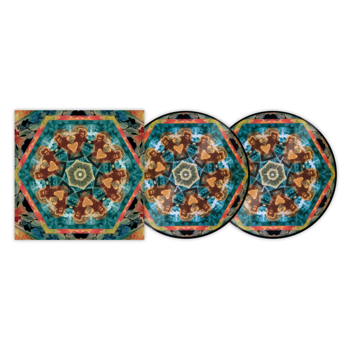Serato Control Gaslamp Killer (Pair) [4]