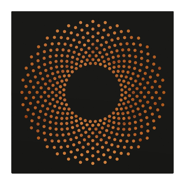 Serato Control Vinyl Sacred Geometry (Pair) [2]