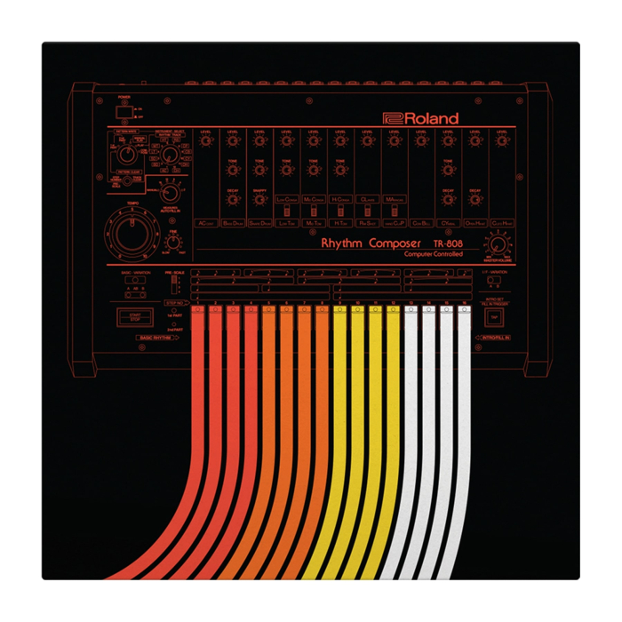 Serato x Roland 808 Control Vinyl (Pair) [3]