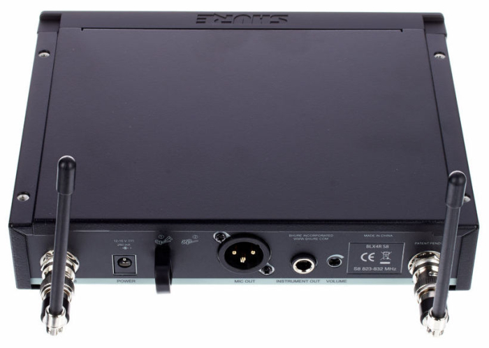 Shure BLX24RE / SM58 [9]