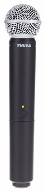 Shure BLX24RE / SM58 [10]