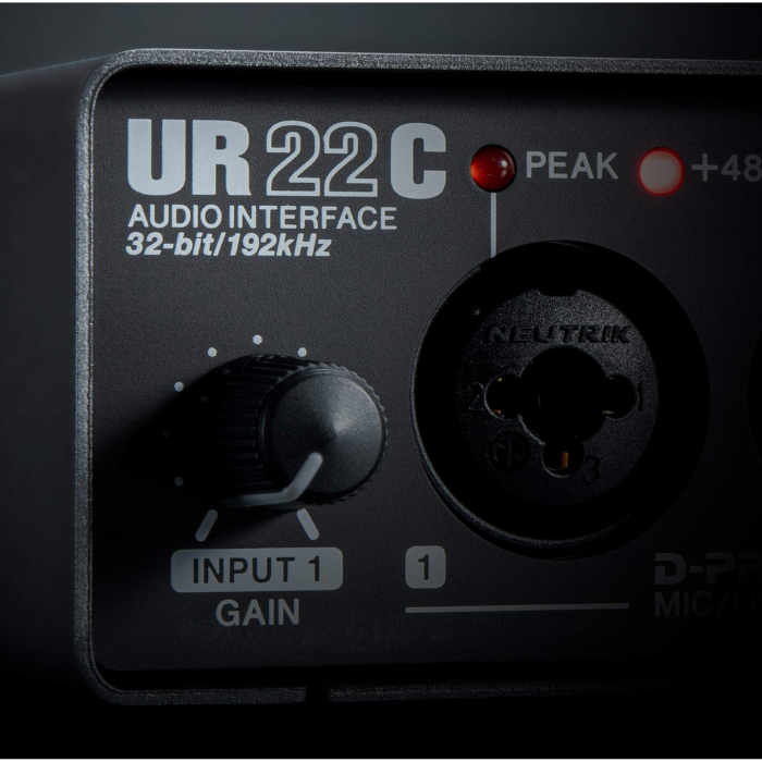 Steinberg UR22C [13]
