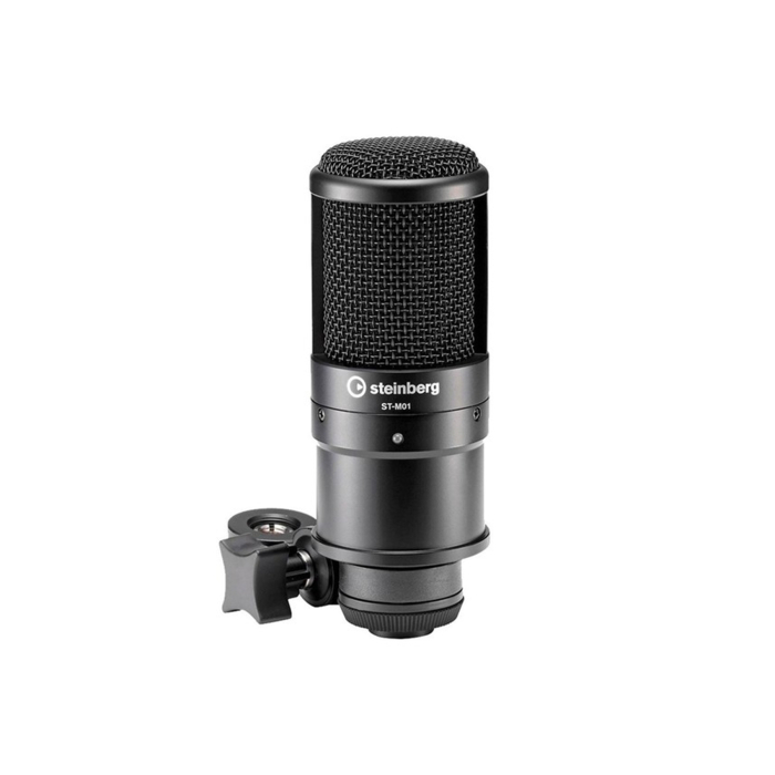 Steinberg UR22C Recording Pack [10]