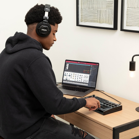 Akai MPK Mini Mk3 Grey [10]