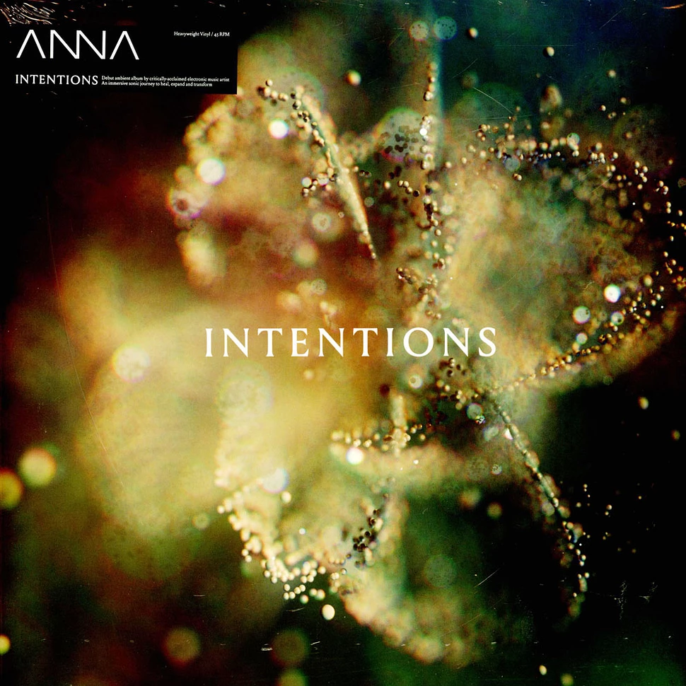 Electronica - ANNA - Intentions