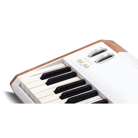 Arturia AstroLab 61 [5]