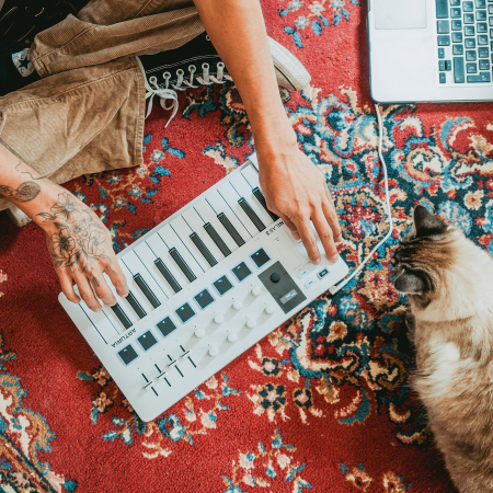 Arturia MiniLab 3 Black [3]