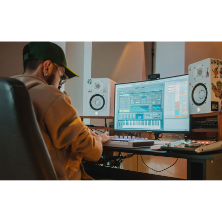 Arturia V Collection X - Licenta Electronica [7]